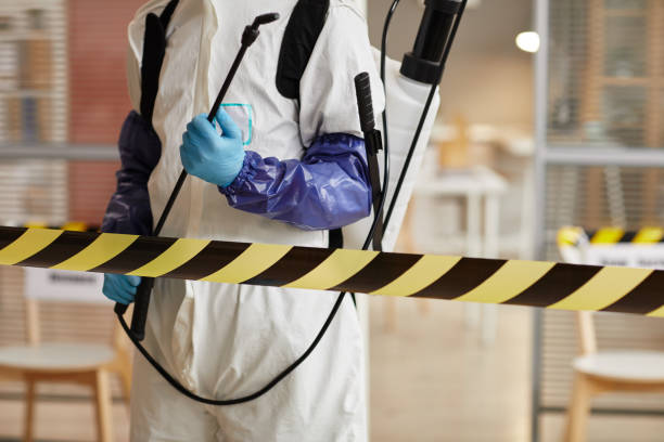 Professional Odor Removal technician working in Campbell, NE